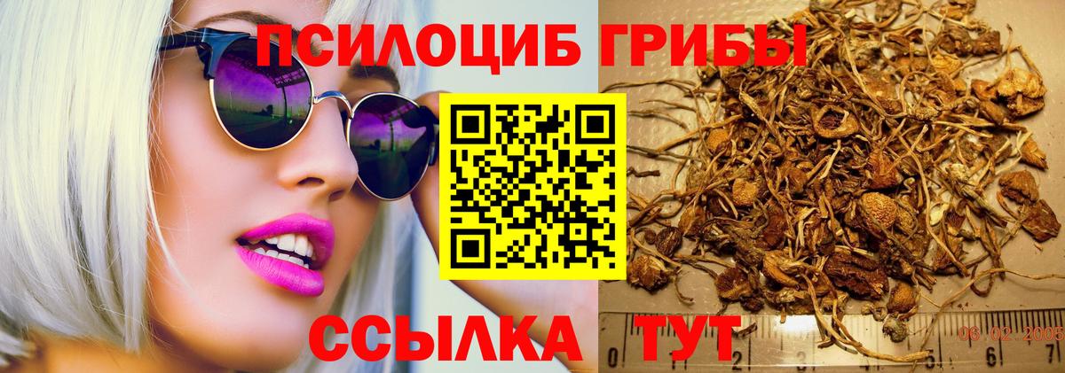 Галлюциногенные грибы мицелий Асбест