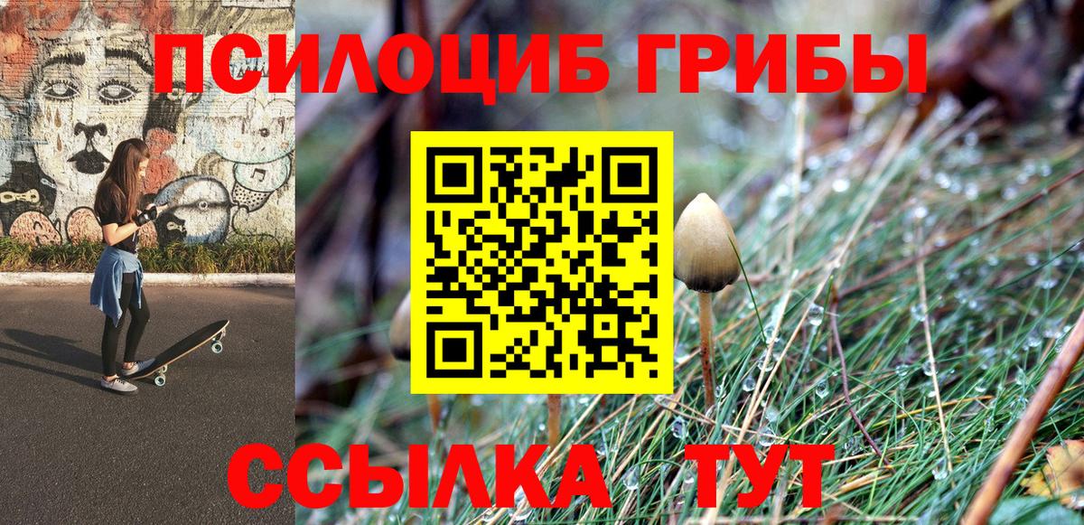 Галлюциногенные грибы прущие грибы  Вход с VPN  закладка  Асбест 